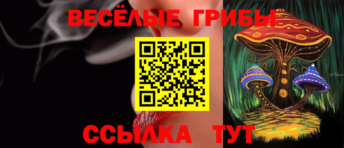 Галлюциногенные грибы ЛСД  Вход с VPN  Псилоцибиновые грибы MAGIC MUSHROOMS  Йошкар-Ола 